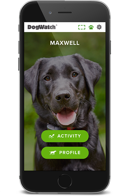 DogWatch of Middle Tennessee, Murfreesboro, TN | SmartFence WebApp Image